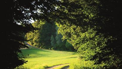 Bild: ils
Die Oberpfalz ist reich an landschaftlichen Reizen. Bei der neuen Sommerreihe „Genussvoll wandern“ im Dekanat Weiden sind alle Interessierten eingeladen, auf Entdeckungstour zu gehen und sich dabei Gutes für die Seele zu tun.