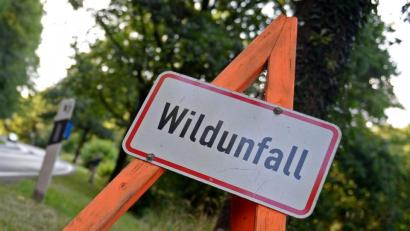 Symbolbild: Susann Prautsch/dpa
Ein Schild weist auf einen Wildunfall hin.