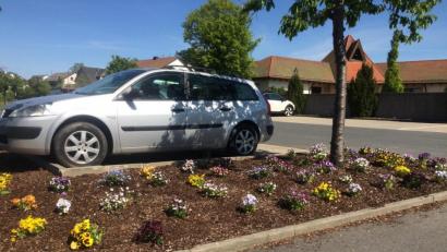 Bild: sei
Heimliche Gärtner schenkten ausgedienten Frühlingsblühern von den Gräbern auf einem Beet am Parkplatz ein zweites Leben.