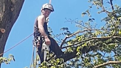 Bild: ld
Dem Baumkletterer macht es sichtlich Spaß, sich auf einen Ast zu stellen und ihn als Schaukel zu benutzen.