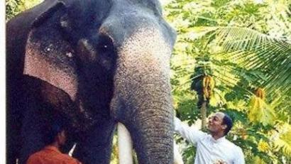 Repro: do
Mit Dickhäutern umzugehen ist für Pater Renny einfacher, als mit der Corona-Pandemie fertig zu werden