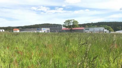 Bild: Gabi Schönberger
Das BayZBE, dessen graue Halle im Hintergrund zu sehen ist, hat diese Wiese im Gewerbegebiet Neuhaus von der Firma Trepl gepachtet. Darauf soll möglichst im nächsten Jahr ein Erweiterungsbau entstehen.
