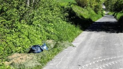Bild: njn
Wie hier auf dem Bild in Richtung Sauweiher werden immer wieder wilde Müllablagerungen festgestellt.