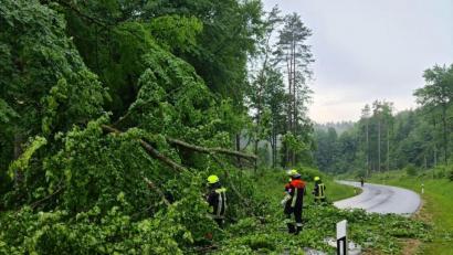 Bild: Feuerwehr Sunzendorf
Ein Baum stürzte auf die Straße, die von Sunzendorf nach Högen im Landkreis Amberg-Sulzbach führt.