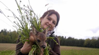 Bild: Andrea Süß
Andrea Süß trägt das Rehkitz, welches ihr Hund Nandl auf der Wiese entdeckt hat, vorsichtig in den Wald.