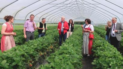 Bild: Hirsch
"Die schmecken aber gut": Beim Auftakt zur Erdbeersaison 2021 durften die Ehrengäste pflücken und probieren.