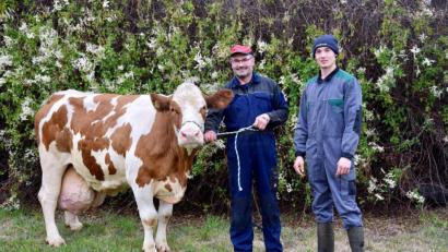 Bild: Rudolf Traxinger /exb
Vier Betriebe hatten Kühe mit einer Milchleistung von 100 000 Litern im Stall.