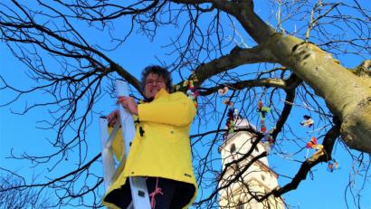 Bild: upl
Heike Unger auf der Leiter. Die Ebermannsdorferin schmückte am Samstag einen Baum vor dem Amberger Luftmuseum mit mehr als 400 gehäkelten Schmetterlingen.