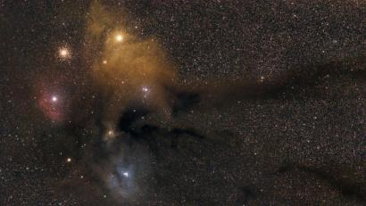 Bild: Martin Sponsel/exb
"Antares & Rho Ophiuchi direkt neben dem galaktischen Zentrum unserer Milchstraße": Martin Sponsel hat dieses Bild vom Sternenhimmel über dem Hirschwald gemacht.