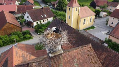 Bild: Molter/exb
Hoch auf dem Schornstein mit Blick ins Dorfzentrum. Die beiden Störche sind die neuen Stars und ein Junges ist schon geschlüpft. Hoffentlich folgt das Zweite nach.