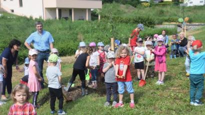Bild: fz
Der Beitrag zum Internationalen Kindertag. Die Kinder pflanzen Apfelbäume.
