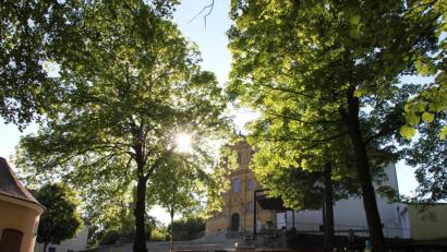 Bild: ads
Die Sonne blitzt durch die alten Laubbäume zu Füßen der Mariahilfbergkirche. Heuer wird es wieder mehr und größere Gottesdienste während der Wallfahrtswoche geben - aber keine weltlichen Feiern.