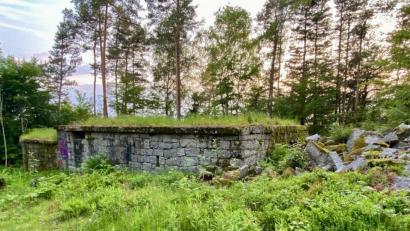 Bild: Eichl
Das Steinhauerhaus, das seit kurzem frei geschnitten ist, soll optisch weitgehend in seinem Originalzustand erhalten bleiben. Selbst ein Teil des Daches soll wieder begrünt werden.