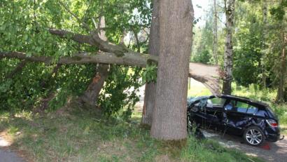 Bild: frd
Das Unfallauto prallte gegen einen Baum. Der Stamm brach ab.