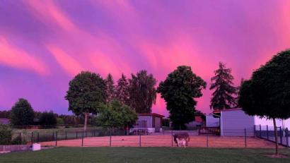 Bild: Carola Dorr
Der eigene Garten in einem ganz außergewöhnlichen Licht, fotografiert von Carola Dorr in Kotzheim (Ursensollen).