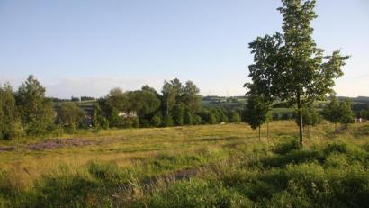 Bild: wro
Die Gemeinde Krummennaab möchte auf einer Brachfläche - unweit des Bürgerparkes - einen neuen Bauhof errichten. Die Erbendorfer Stadträte gaben dafür "Grünes Licht." Belange der Stadt Erbendorf würden nicht berührt, stellte Bürgermeister Reger in der Sitzung fest.