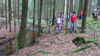 Bild: bsc
Susanne Ullmann-Wiesend (links vorne), Projektleiterin des Artenhilfsprogramms Flussperlmuschel, zeigte 20 Teilnehmern bei einer Exkursion des Naturparks Steinwald entlang des Grenzbachs die nötigen Arbeiten und Anstrengungen zum Erhalt der Flussperlmuschel.