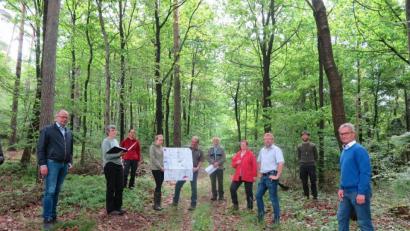 Bild: jzk
Bei der Waldbegehung überzeugten sich Bürgermeister Roman Schäffler, Sachverständige Gisela Wenig, Katharina Hage, Johanna Wolf, Klaus Ferber, Forstdirektor Dirk Lüder, Rita Ponnath, Hermann Schraml, Martin Wittmann und Werner Nickl (von links) vom derzeitigen Baumbestand und besprachen die notwendigen Umstrukturierungsmaßnahmen.