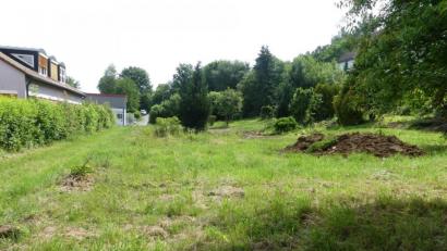 Bild: rn
Südlich der Kindertagesstätte (links) erworbene Gartengrundstücke werden zum Spielplatz für die Kinder umgestaltet. Am 10.12.2020 informierte Günther Lenk den Stadtrat: "Der neue Spielplatz liegt mit 2 815 Quadratmetern deutlich über dem vorgegebenen Soll."