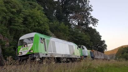 Archivbild: Josef Schießl
Holz hatte ein Güterzug geladen, der im August 2019 eineinhalb Stunden ungebremst durch die Lande rollte und schließlich bei Schwarzenfeld im Landkreis Schwandorf zum Stehen kam.