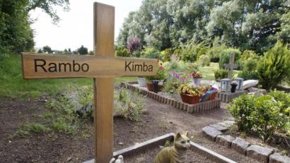 Symbolbild: Markus Scholz/picture alliance/dpa
Dieses Symbolbild zeigt einen Tierfriedhof. Auch Kater Tommy aus Edelsfeld ist inzwischen begraben.