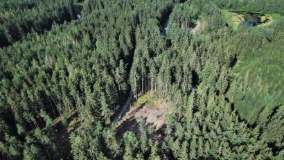 Bild: Stadt Tirschenreuth/exb
Schadholz durch den Borkenkäfer findet sich im Stadtwald kaum mehr, da die betroffenen Bäume fast alle entfernt wurden. Dabei tauchen auch "Käferlöcher" im Wald auf. Die sind aber mit zwei bis drei Hektar nicht so dramatisch, laut Stadtförster Stefan Gradl. Beim Nachpflanzen werdfe ein Mischwald angestrebt.