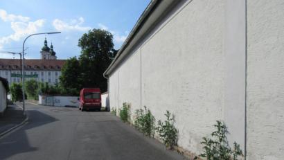 Bild: kgg
Disteln verschönern Klostermauer in der Brauhausstraße in Waldsassen.