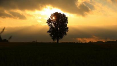 Symbolbild: David Young/dpa
In der kommenden Woche wechseln sich Sonnenschein und Regenschauer ab.