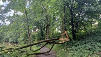 Bild: Bernhard Frank, Stadt Amberg/exb
Die Sturmschäden sind immer noch sichtbar.