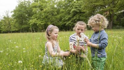 Bild: Lehmann/exb
An Waldrändern, im hohen Gras, in Gebüschen und im lichten Unterholz fühlen sich Zecken besonders wohl. Alle, die im Frühling und Sommer gerne draußen unterwegs sind, müssen mit Zeckenbissen rechnen.