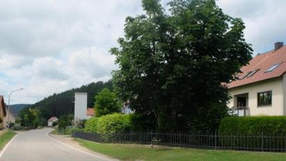 Bild: ohr
Ab der Einmündung der Straße „An der Salzleite“ soll die Verkehrssituation für die Fußgänger verbessert werden Laut Prüfung des Staatlichen Bauamts Amberg-Sulzbach sei die Errichtung eines Gehweges die verkehrssichere Lösung.
