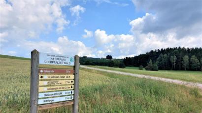 Bild: lg
Die Auswirkungen des Klimawandels auf Böden und Gewässer im Murachtal der Langau (Bild) standen im Fokus eines Info-Abends für Landwirte. Ähnliche Veranstaltungen des Amts für Ländliche Entwicklung Oberpfalz sollen auch für andere Regionen folgen.