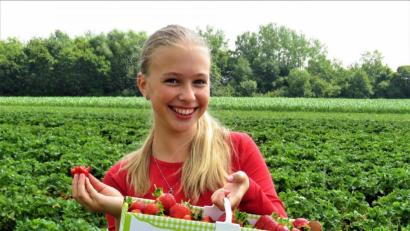 Bild: ubb
Erdbeeren machen glücklich: Die zwölfjährige Vanessa aus Eger hat auf Vorrat gepflückt. Ihre Mama und Oma frieren die Erdbeeren auch ein. Vanessas Mama macht außerdem Marmelade und die Oma Erdbeer-Knödel.