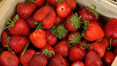 Bild: Petra Hartl
Eine 82-Jährige wollte in einem Verbrauchermarkt in Amberg eine Erdbeerschale nicht bezahlen.