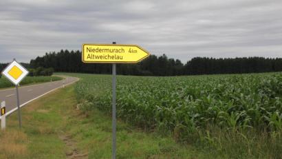Bild: frd
Auf dieser derzeit mit Mais angebauten Fläche am Ortseingang von Altweichelau (Gemeinde Niedermurach) und entlang der „Hochstraße“ soll ein Solarpark entstehen.