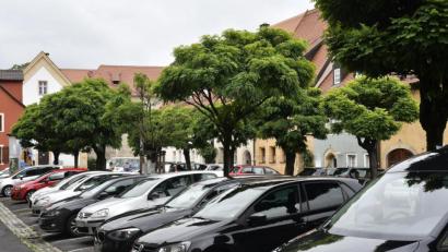 Bild: Petra Hartl
636 Parkplätze auf öffentlichen Flächen gibt es in der Amberger Altstadt. Für sie interessieren sich rund 800 Amberger mit einem Anwohner-Ausweis.