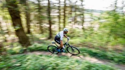 Symbolbild: Philipp von Ditfurth/dpa
Die Tour mit dem Mountainbike durch den Wald erfreut sich immer größerer Beliebtheit. Auf den künftigen Breitensport will sich auch die Region um die Silberhütte vorbereiten.