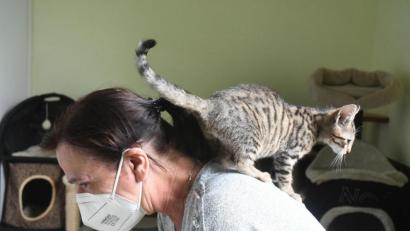 Bild: Gabi Schönberger
Wenn es um hilfsbedürftige Katzen geht, hat Manuela Fritsch ein breites Kreuz. Das testet hier gerade Katerchen Steppke aus.