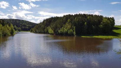 Bild: Mardanow
Blick auf den Bereich der Vorsperre am Eixendorfer Stausee aus Richtung Hillstett. Am Runden Tisch sind weitere Maßnahmen besprochen worden, um die Nährstoffe zu reduzieren und die Blaualgenblüte einzudämmen.