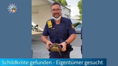 Bild: Polizei Schwaben Nord/dpa
Die Polizei hat in Augsburg eine entlaufen Schildkröte von einer Skateranlage geholt.