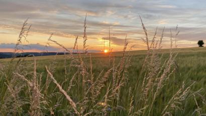 Bild: dob
Nichts ist mehr gefürchtet als Sturm und Hagel. die ganze Felder vernichten. Umso schöner wenn sich abends die Sonne in aller Ruhe vom Tag verabschiedet.