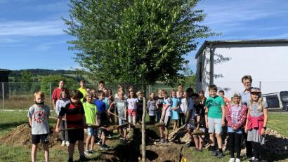 Bild: Grundschule Krummennaab/exb
Baumpflanzaktion der vierten Klassen im Bürgerpark Krummennaab.