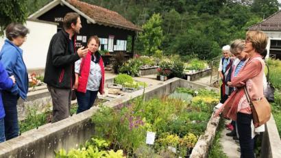 Bild: jp
Gärtnermeister Gerhard Goletz (Zweiter von links) erläutert den Besuchern des Kastler Gartenbauvereins- seine Pflanzen und sein Gemüse sowie das Gewächshaus und die Lager- Keller der Karlshofs in Lauterhofen.