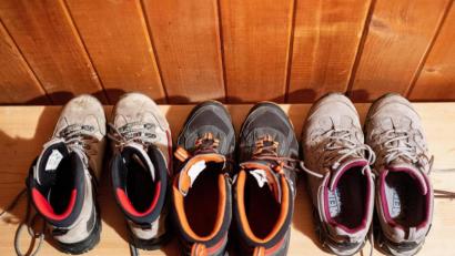 Bild: picture alliance/dpa | Matthias Balk
Senioren können demnächst die Wanderschuhe schnüren. Mit einer Biologin ist ein einstündiger Spaziergang geplant.