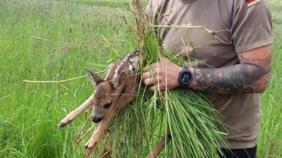 Bild: exb
Der Hundeverein Hirschau unterstützt Jagdpächter bei einer Rehkitz-Rettung.