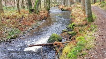 Bild: dob
Das Zottbachtal ist zu jeder Jahreszeit schön zu bewandern. Auf dem Glasschleiferweg gibt es vieles zu entdecken.