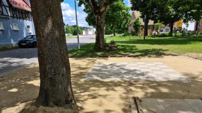 Bild: sne
Dem Baum wurden die Wurzeln gestutzt, da er Wachstum des Rasens und Schachfeld störte – für Richard Waldmann sein Todesurteil.