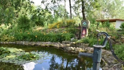 Bild: hcz
Aus einem verwilderten Gelände nahe des Waldfriedhofs haben die Mitglieder des Fördervereins eine paradiesische Naturoase gemacht. Seerosen blühen auf dem Teich.