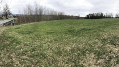 Bild: Gabi Schönberger
Auf dieser Wiese möchte eine schwäbische Firma eine 40000 Quadratmeter große Solaranlage errichten. Doch der Stadtrat hat noch viele Fragen dazu.