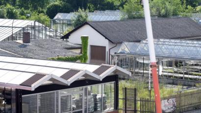 Bild: Gabi Schönberger
Auf dem Areal der Gärtnerei Binner an der Tachauer Straße will die Rewe-Markt GmbH einen Lebensmittelmarkt errichten. Expertisen geben dem Vorhaben grünes Licht. Am Mittwoch befasst sich der Bauausschuss mit dem Discounter.